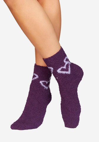 LAVANA Socks in Purple: front