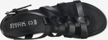 GEOX Sandalen 'Vega' in Schwarz