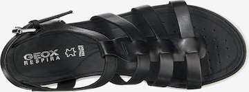 Sandales 'Vega' GEOX en noir