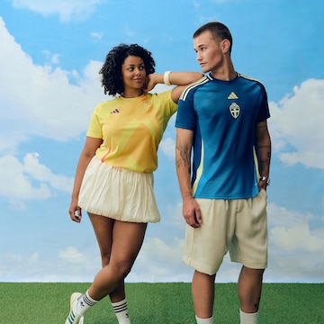 Immergez-vous dans le championnat de football