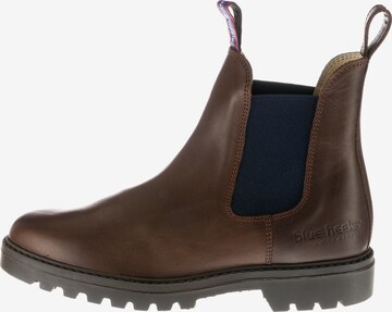 Blue Heeler Chelsea Boots 'Jackaroo' in Brown