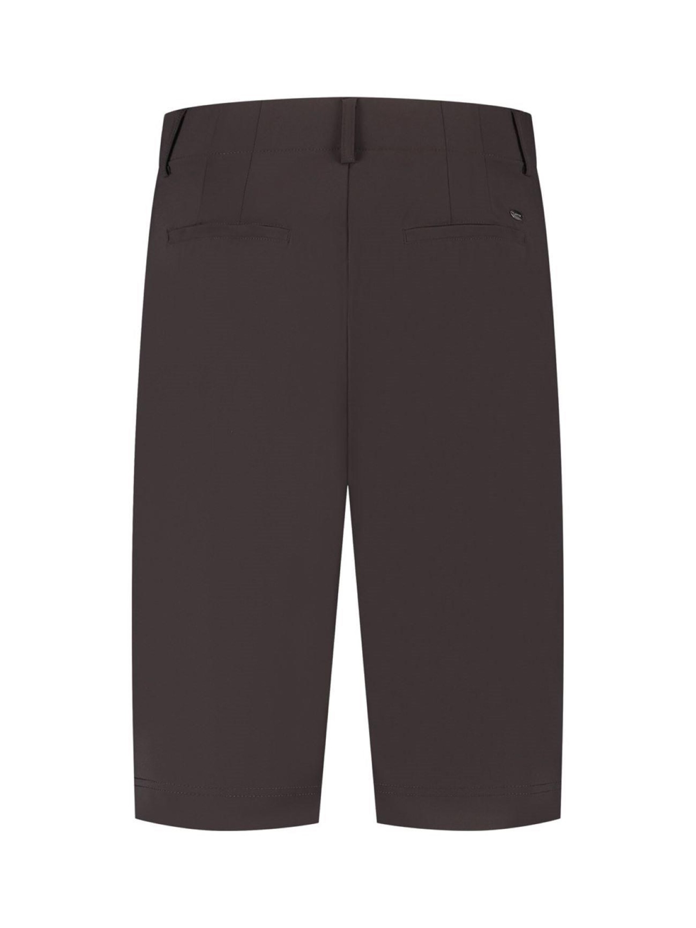 Lady Day Regular Trousers 'Lady Day Lettie Dark Brown' in Brown