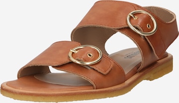 ANGULUS Sandals in Brown: front