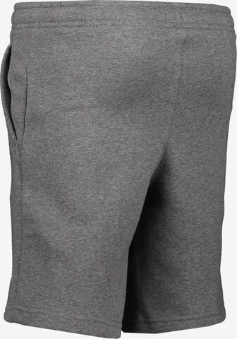 NIKE Regular Workout Pants 'Park 20' in Grey