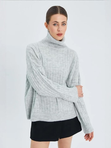 Pullover 'Pullover' di MixRay in grigio