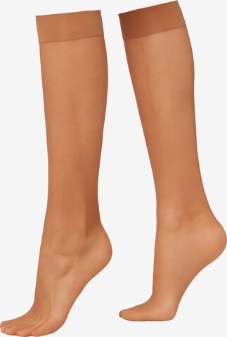 CALZEDONIA Knee High Socks in Beige: front