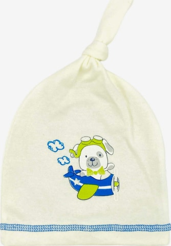 Aliap Beanie in Beige: front