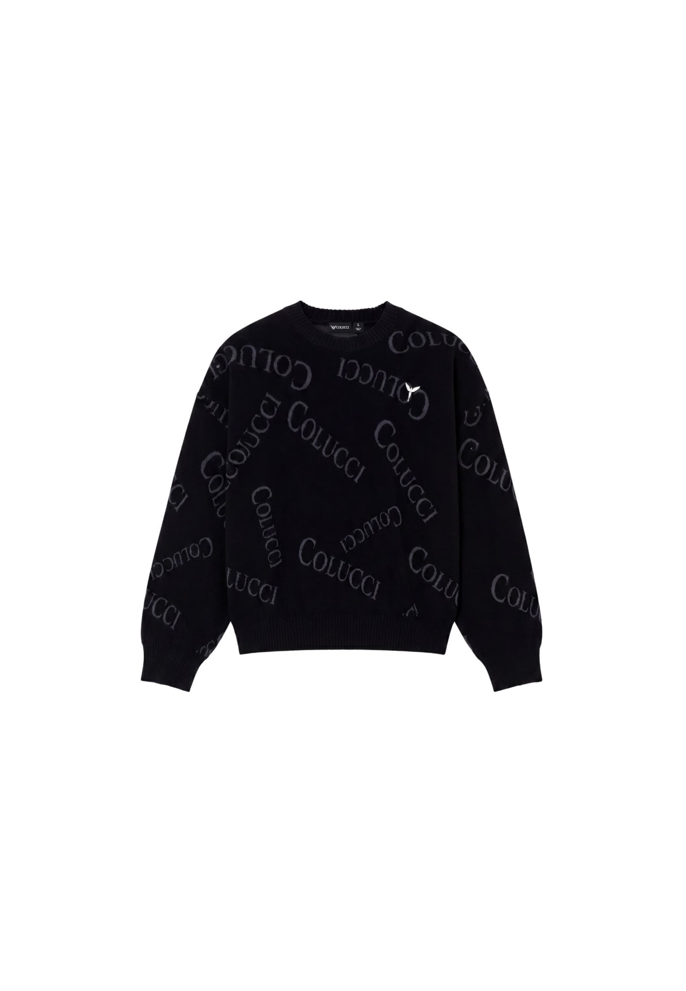 Pullover di Colucci in nero: frontale