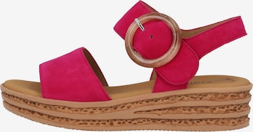 Sandalo con cinturino di GABOR in rosa: frontale