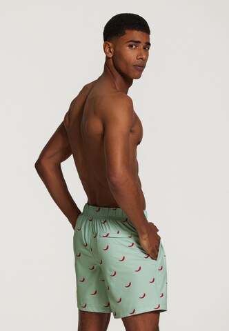 Shiwi Badshorts 'chili pepper 4-way stretch' i grön