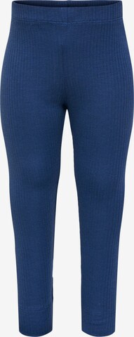 Hummel Slim fit Leggings in Blue: front