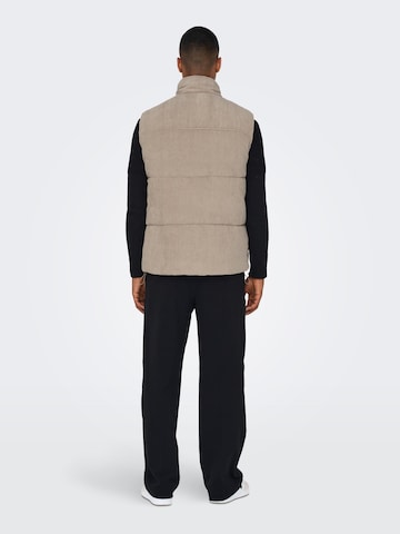 Gilet 'CASH' di Only & Sons in beige