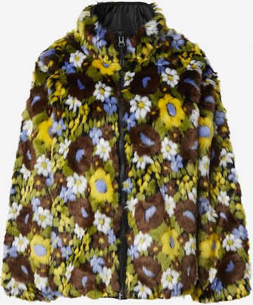 TOPSHOP Between-season jacket 'CELIA' in Green: front