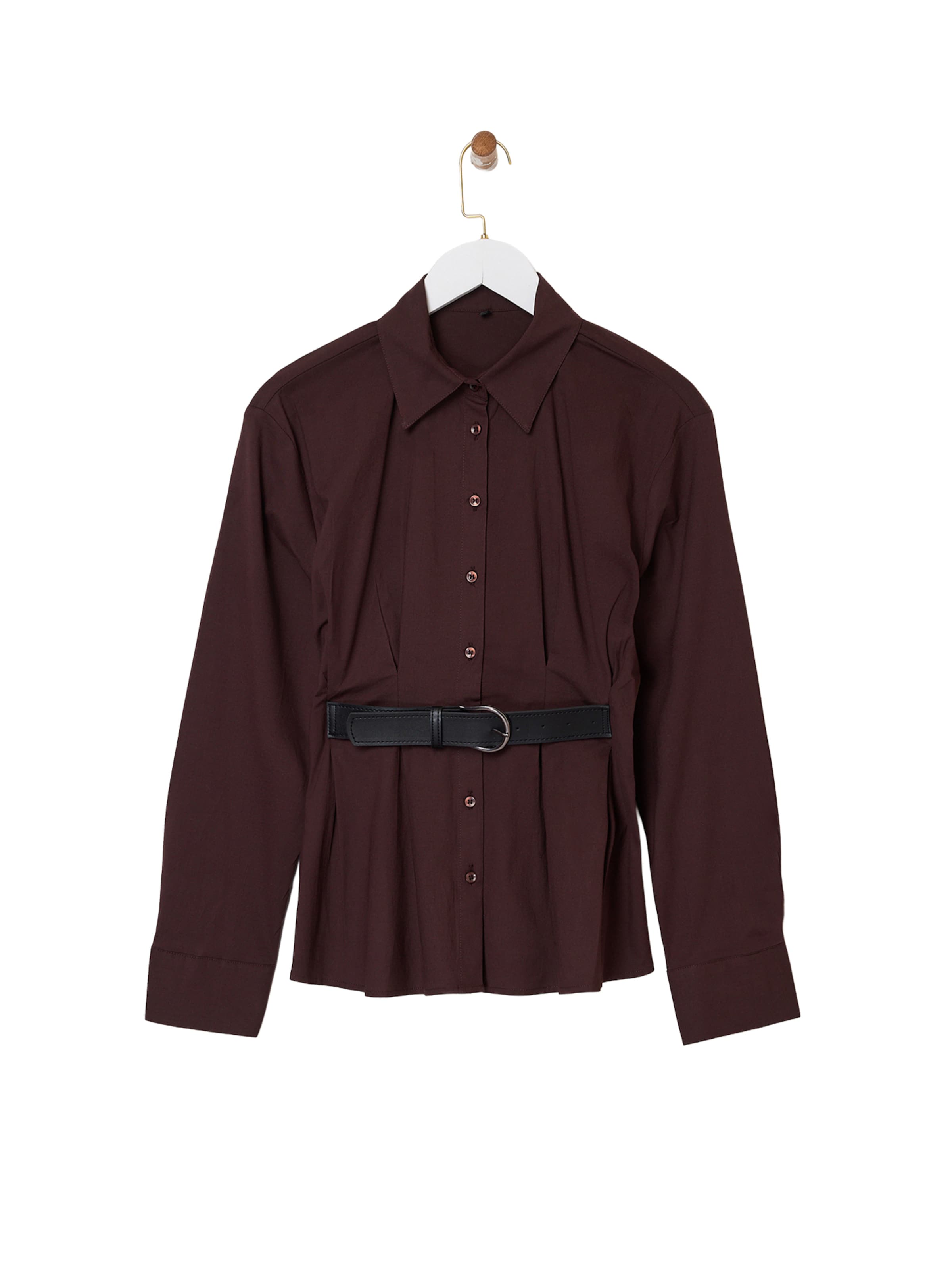 Trendyol Blouse in Brown: front
