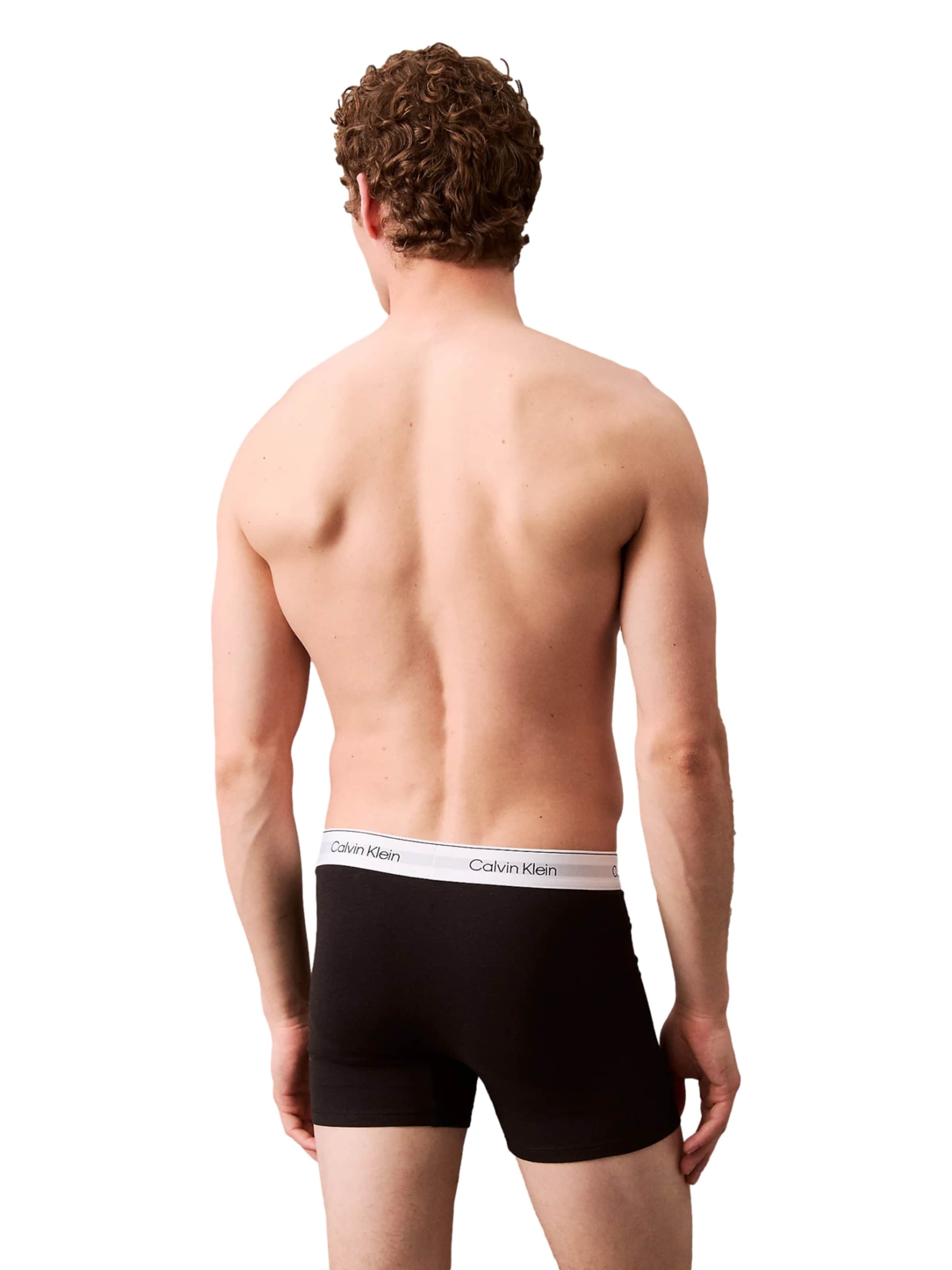 mišri Calvin Klein Underwear Boxer trumpikės