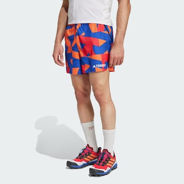 Regular Pantalon de sport ADIDAS TERREX en bleu : devant