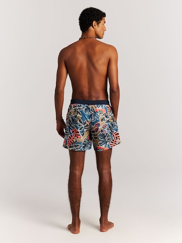 PROTEST Board Shorts 'PRTRayger' in Brown