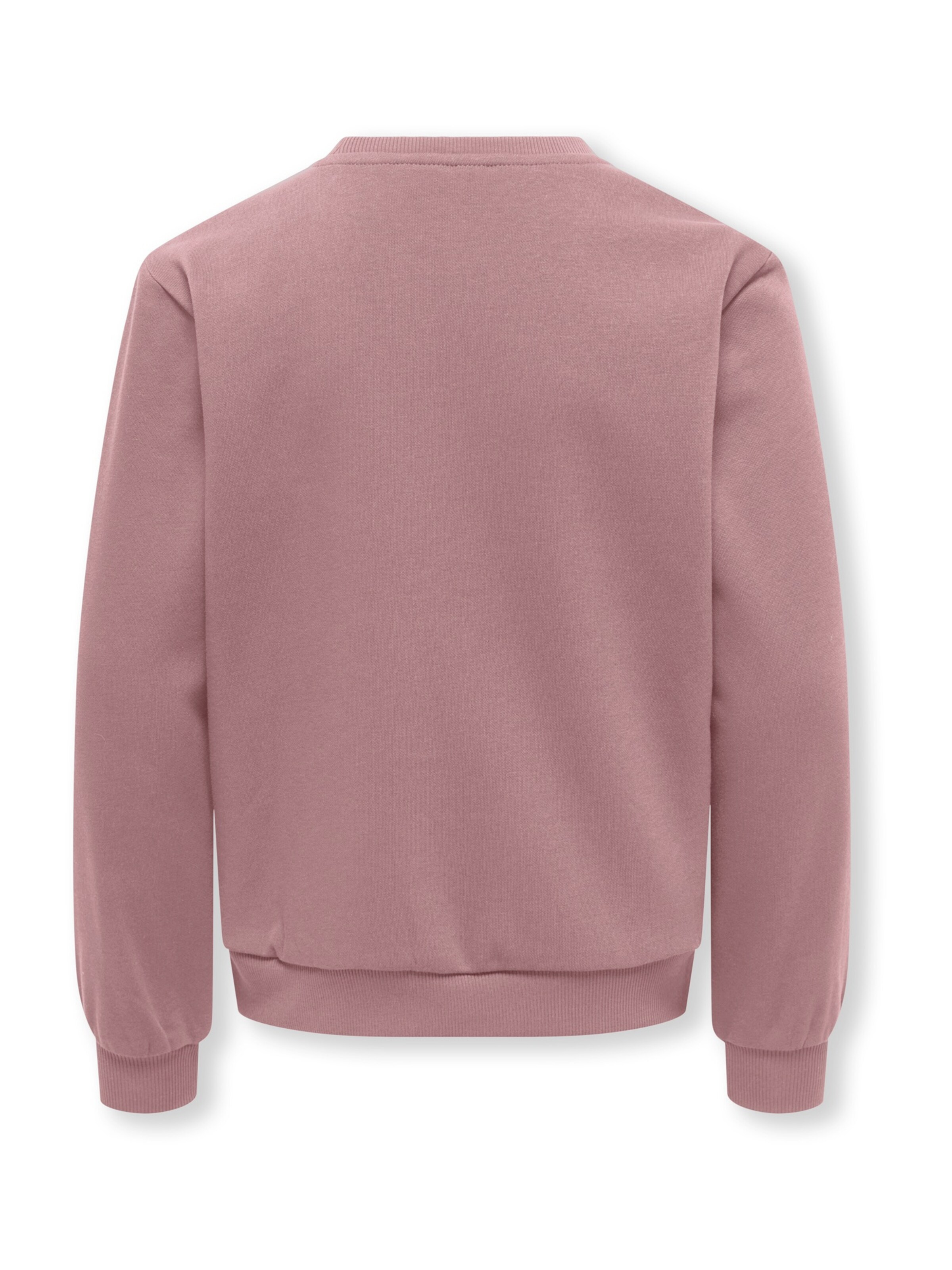 Felpa di ONLY GIRLS in rosa