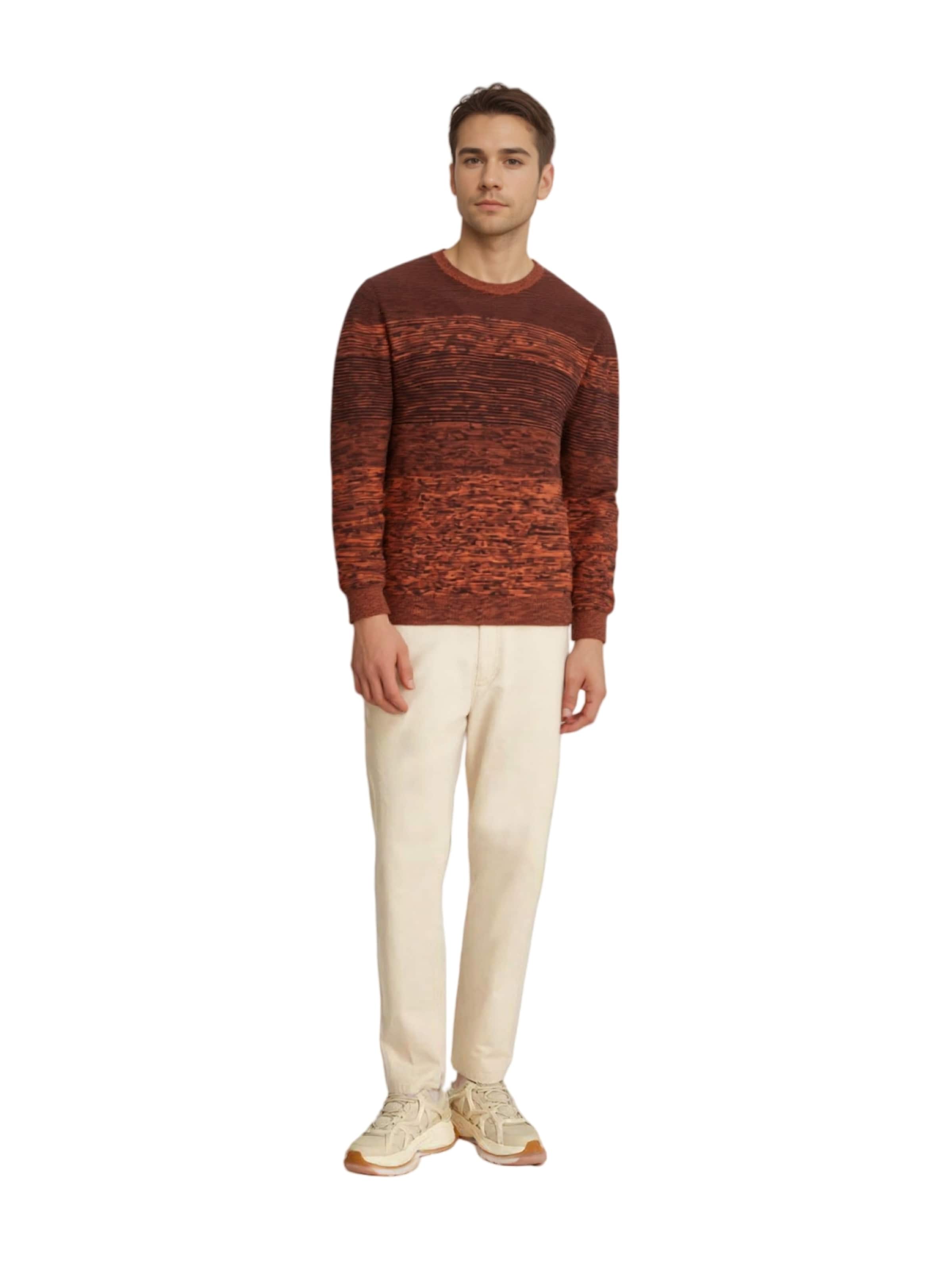 HAJO Sweater in Brown