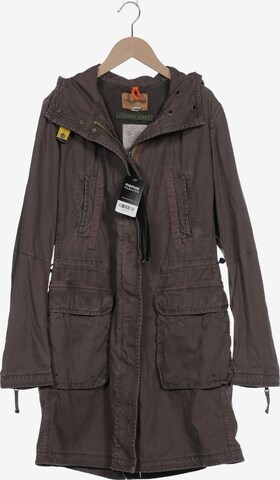 Parajumpers Jacket & Coat in L in Brown: front