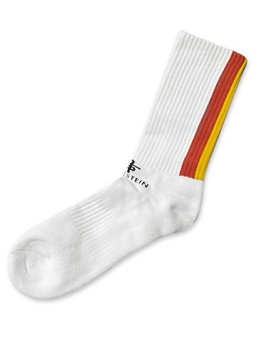 Silverstein Official Socks '6er Silverstein Official Tennis Sport Raw Socken ' Pico '' in White: front