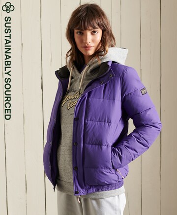 Veste mi-saison Superdry en violet : devant