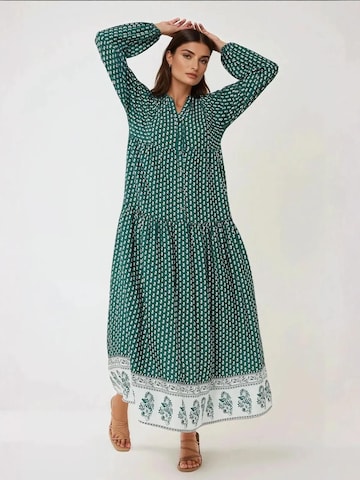Hiccup Kleid in Grün