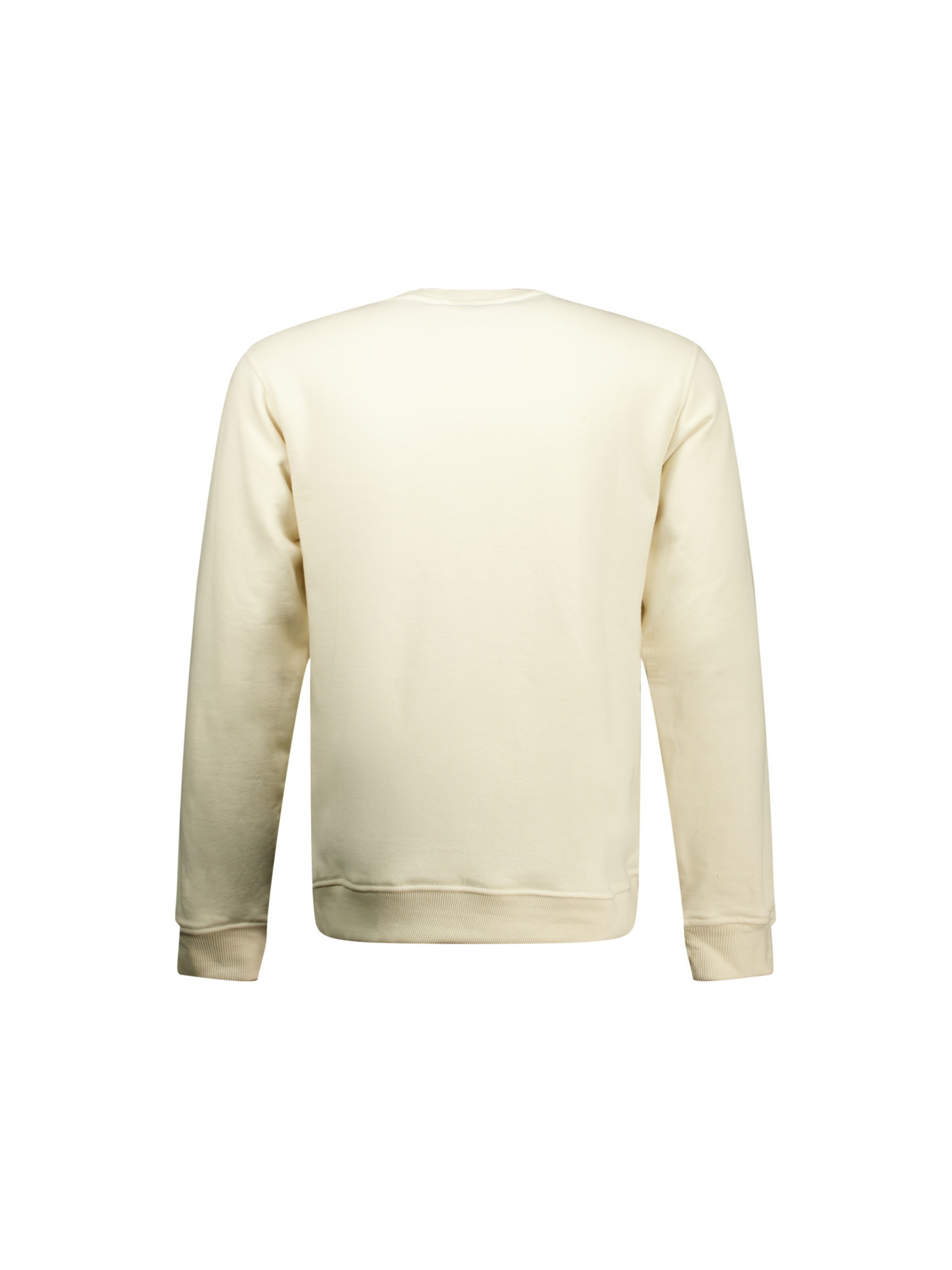 Sweat-shirt 'RAVON' Deeluxe en beige