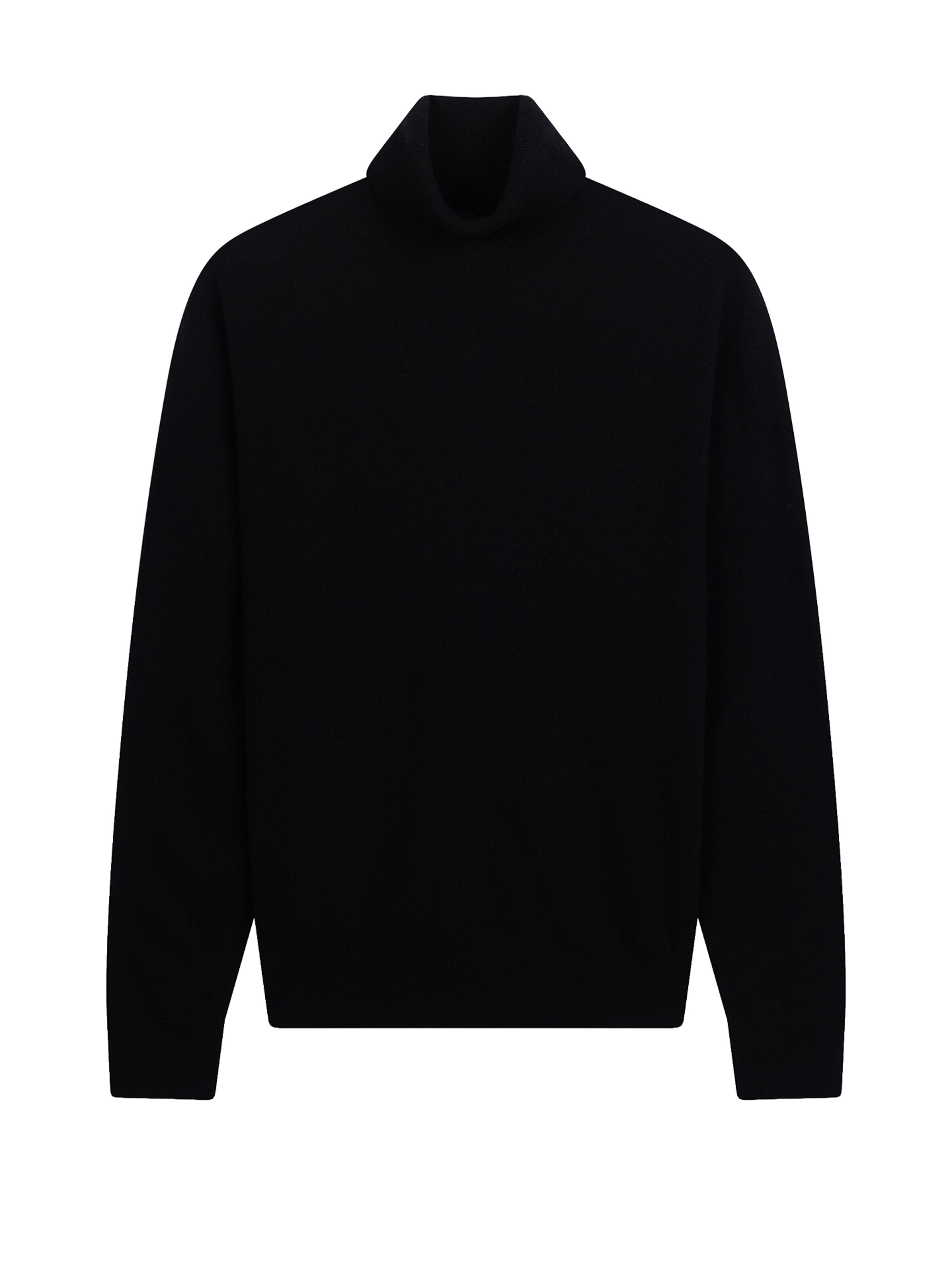 GOBI Cashmere Pullover 'Men's Essential Turtleneck Cashmere Sweater'‌ in Schwarz: Vorderseite