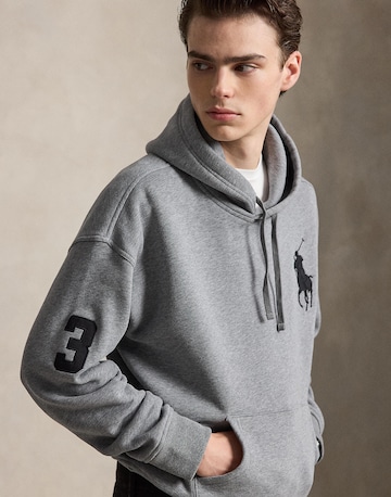 Polo Ralph Lauren Sweatshirt i grå