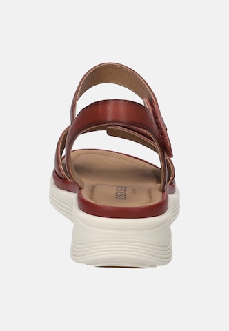 JOSEF SEIBEL Sandaal 'Sevran 01' in Rood