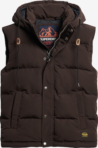 Gilet 'Everest' Superdry en marron : devant