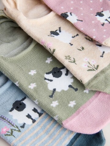 Next Sukapöiad, värv beež