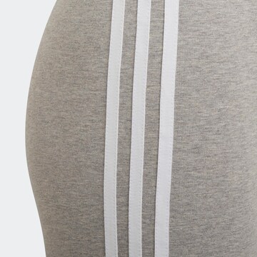 ADIDAS ORIGINALS Slimfit Leggings 'Adicolor Cycling' i grå