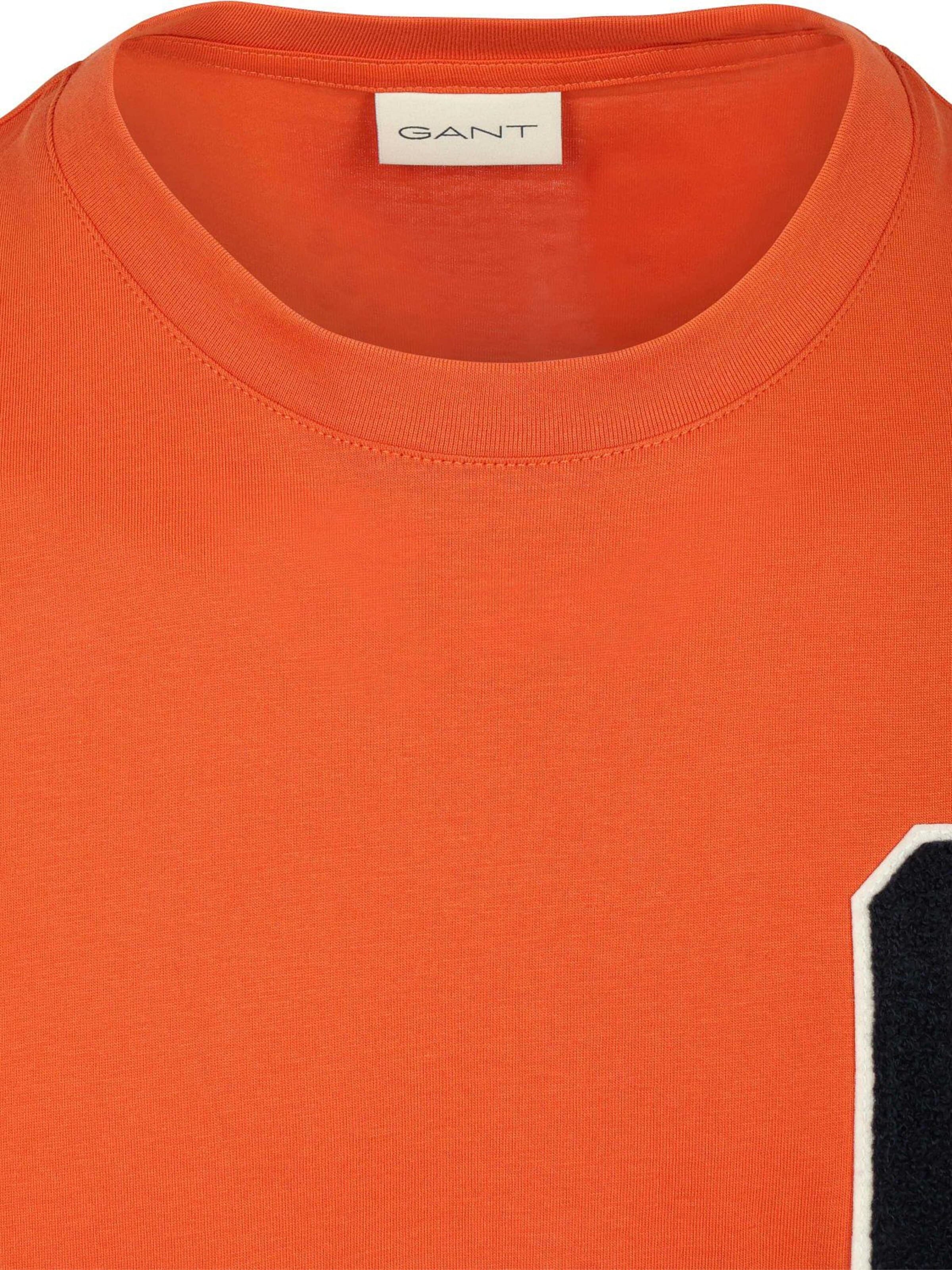 GANT Shirt in Orange