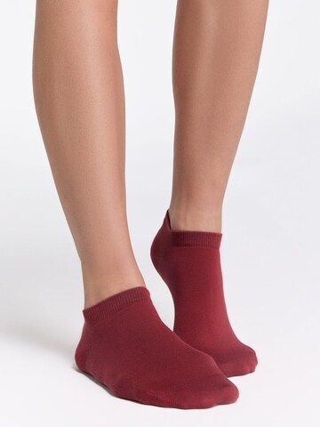 Albero Natur Socks 'Bio-Baumwoll-Sneakersocken Unisex - 2er Pack' in Red