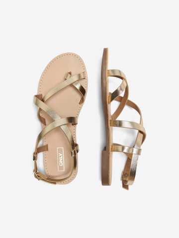 ONLY Sandalen met riem 'MANDALA-15' in Goud