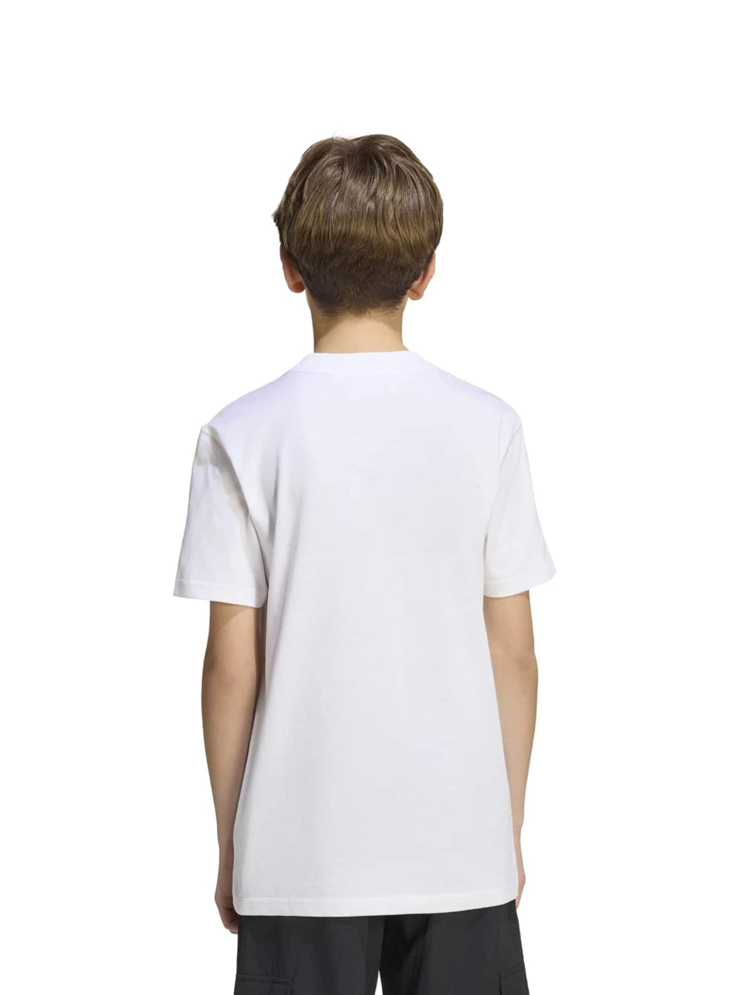 balts ADIDAS PERFORMANCE Sporta krekls 'FIFA Fussball-Weltmeisterschaft 26™ Deutschland'