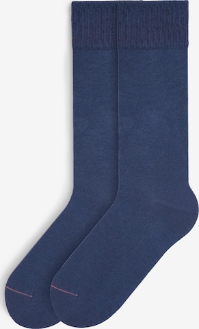 Von Jungfeld Socks 'SIGNATURE' in Blue: front