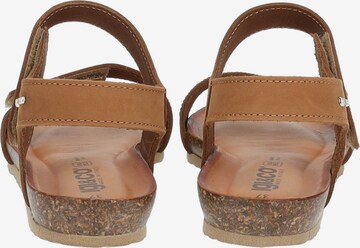 IGI&CO Strap Sandals in Brown