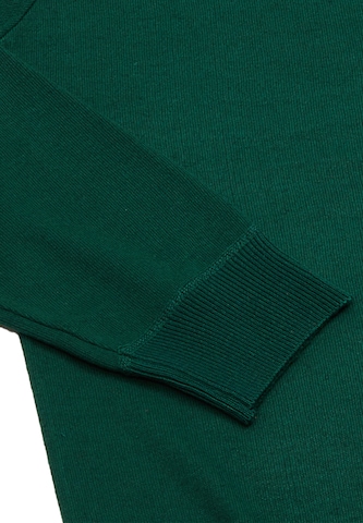 Pullover di RAIDO in verde