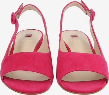 Högl Sandalen met riem in Roze