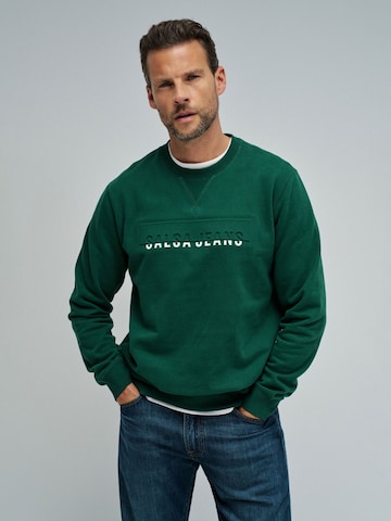 Pull-over Salsa Jeans en vert : devant