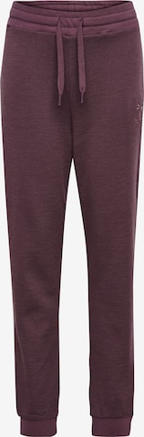 Hummel Hose 'WONG' in Braun: Vorderseite