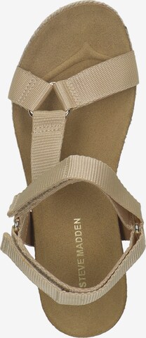 STEVE MADDEN Sandalen met riem in Beige