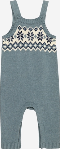 GAP Regular Tuinbroek in Blauw: voorkant
