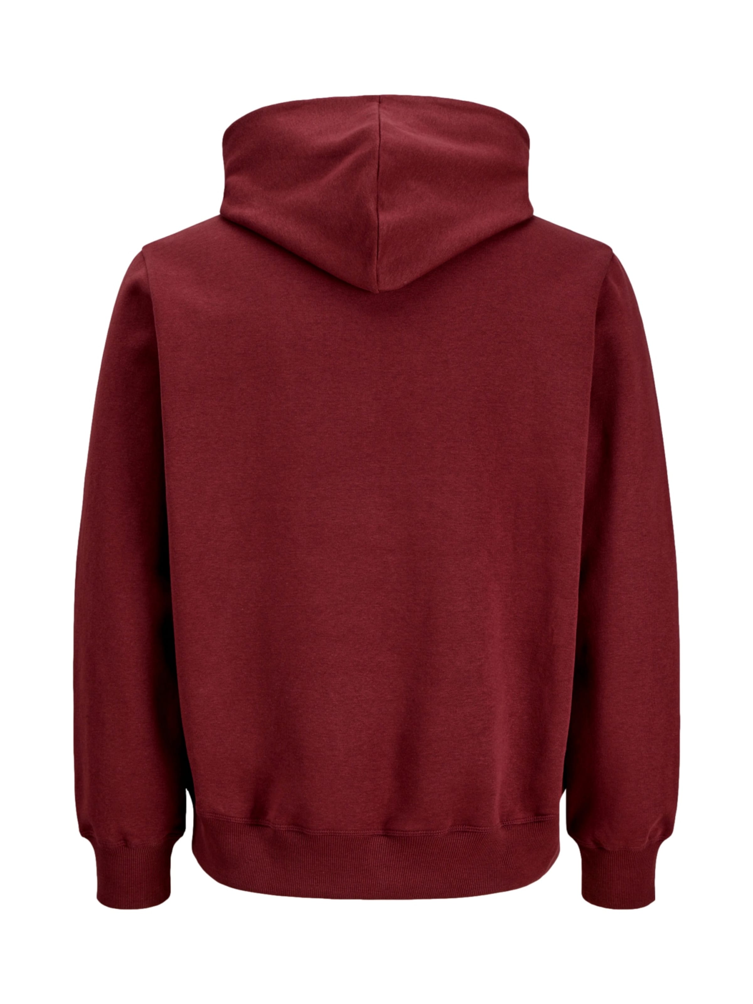 Jack & Jones Junior - Sudadera 'JORFREDERIKSBERG' en rojo