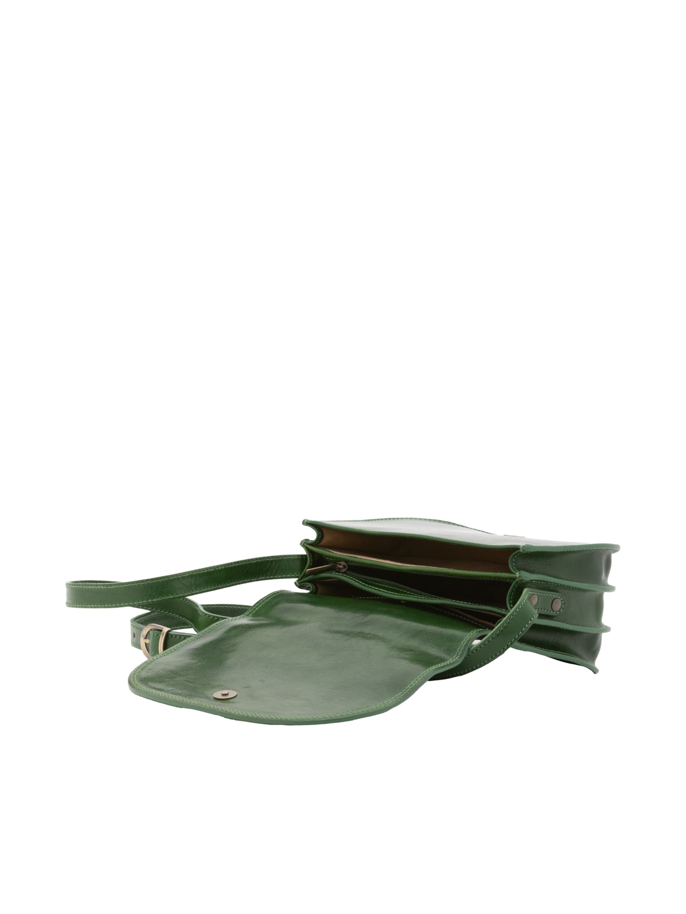 Viola Castellani Crossbody Bag in Green