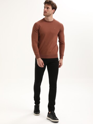 Gabbiano Pullover‌‌‌‌‌‌ in Braun