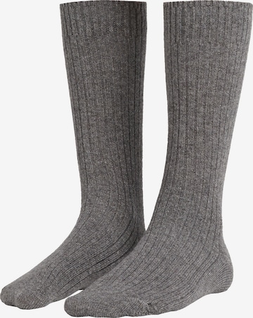 CALZEDONIA Socks in Grey: front